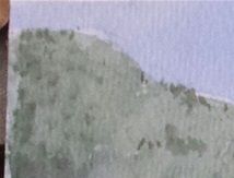 girasoli 2018 piano di Magadino acquerello 40 x 30 cm