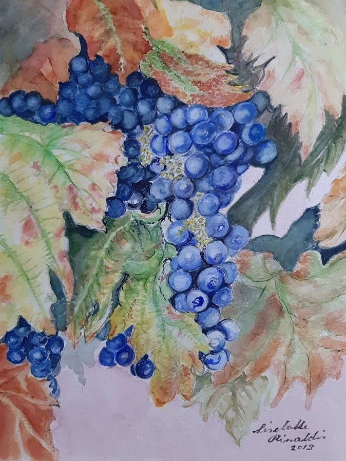 Acquerello 2019 24 x 32 cm l`uva