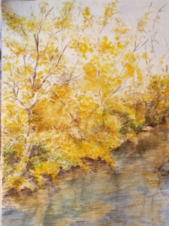 Strängli mit wenig Wasser   Aare Brugg  24 x 32 cm