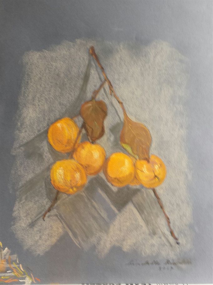 Kaki, 2017, pastello 45 x 60 cm