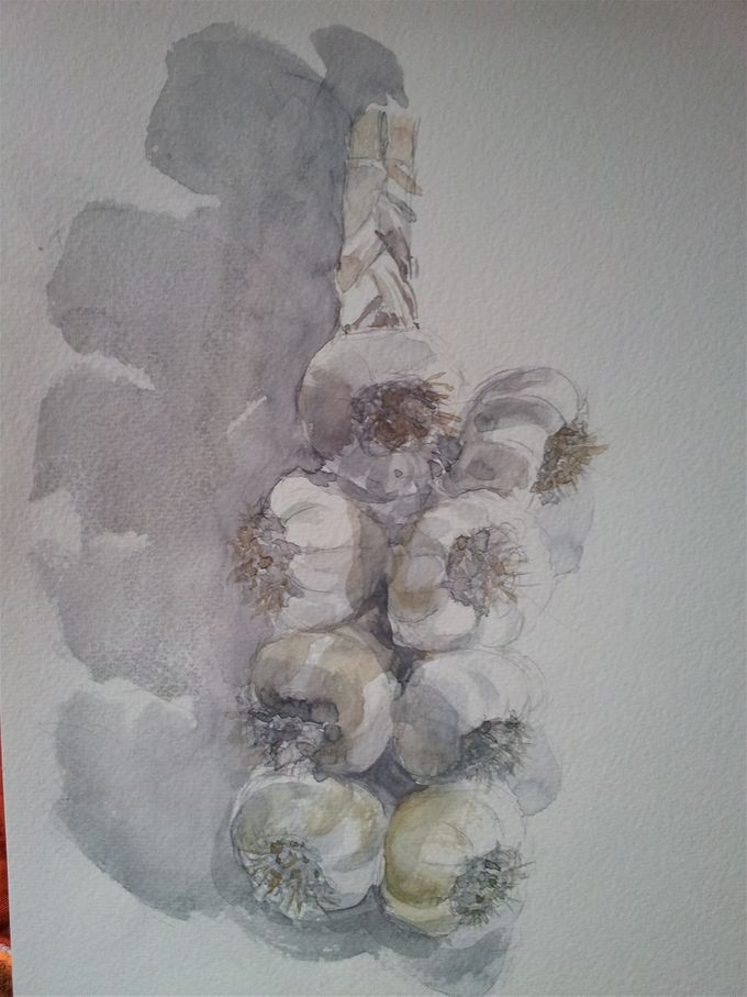 Knoblauch  aquarell               Verkauft