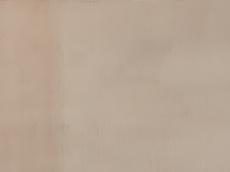 acquerello 2019 40 x 30cm cipolle,alloro